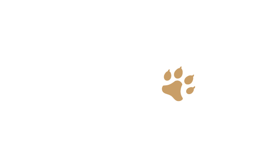 le-jack-de-brana